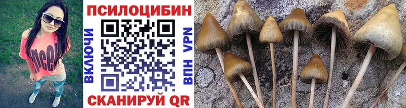 Псилоцибиновые грибы Psilocybine cubensis  Купить  Чехов 