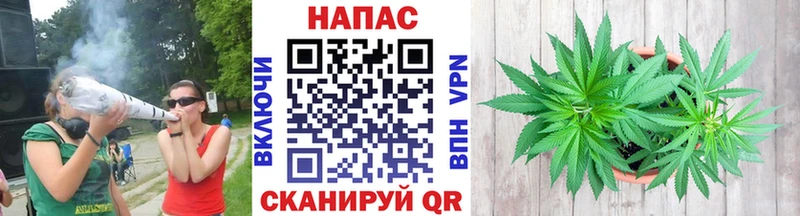 Бошки Шишки индика  Купить где  Чехов 
